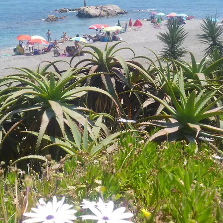 2108-nice With Pool Close From And Bars Apartamento *